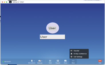 Wave app - During call